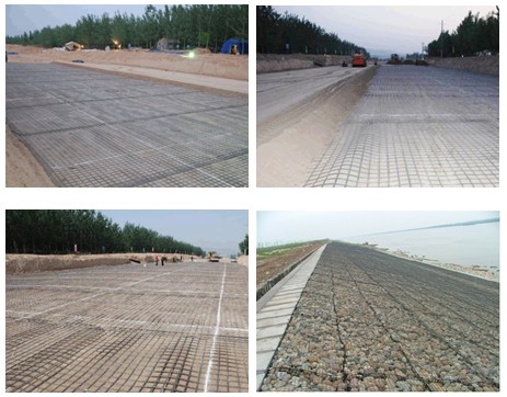 Lineaire het Polymeer Beschermende Grond 25KNM van Geogrid van het traliewerknetwerk Éénassige
